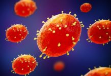 Early 2022 monkeypox virus spread among sexual networks of bisexual and gay males in England – News-Medical.Net