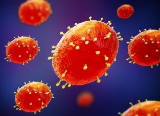 Early 2022 monkeypox virus spread among sexual networks of bisexual and gay males in England – News-Medical.Net