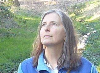 For Gay Roselle, retirement means embracing new challenges | Vashon-Maury Island Beachcomber – Vashon-Maury Island Beachcomber