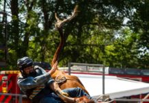 Gay rodeo makes its triumphant return in Minnesota – Duluth News Tribune