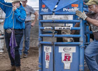 Gay rodeo returns to Santa Fe for 30th year – Santa Fe New Mexican