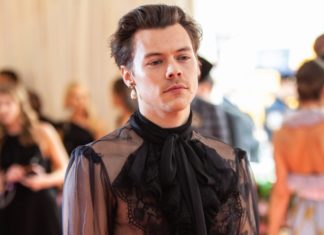 Harry Styles Wants More ‘Tender’ Sex in Gay Films, Proving He’s Never Seen Any — Opinion – IndieWire