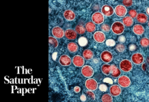 Lessons for Australia’s monkeypox response – The Saturday Paper