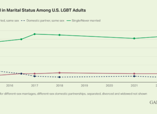 LGBT Americans Married to Same-Sex Spouse Steady at 10% – Gallup Poll