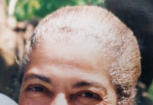 Martha’s Vineyard News | Sheryl Joan Brooks Scott, 78 – The Vineyard Gazette – Martha’s Vineyard News