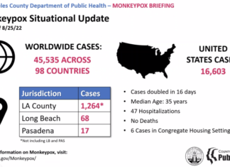 Monkeypox Cases May Be Leveling Off In LA, Health Officials Say – LAist
