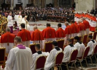Pope expands ranks of cardinals who’ll likely pick successor – Wheeling Intelligencer