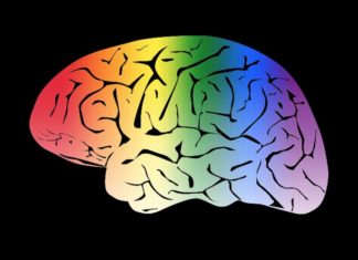 Queer kids are not brainwashed – Washington Blade