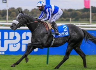 Supreme Stakes Trends & Tips – Should Punters Back Happy Power? – Sportslens.com