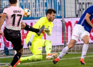 Swiss soccer league fines player for using ‘gay’ as insult – Billings Gazette