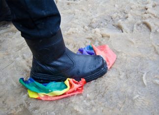 The Wisdom of Gay Albatrosses – Nautilus | Science Connected – Nautilus Magazine