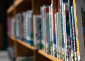 Woman calls police over school library stocking gay graphic novel. No, seriously – PinkNews
