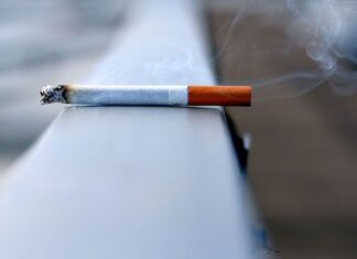 AI Tool Finds Link Between Tobacco Smoking and Bladder Cancer – Technology Networks