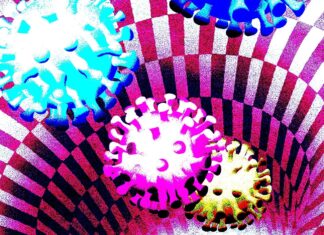 Culture War, Science War – Splice Today