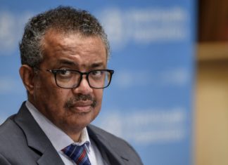 Declining monkeypox cases shows virus ‘can be eliminated,’ WHO boss says – UPI News