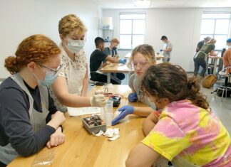 E-News | WVU and NASA help plant the seeds for STEM among West Virginia youth in Plant the Moon Challenge – WVU ENews