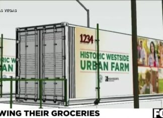 High-tech community farm in the works for ‘food desert’ in Las Vegas – Fox 5 Las Vegas