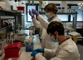 Hit me with your best shot of science | The Pulse – The Progressive Pulse