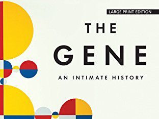 If You Loved That Novel, Try This Nonfiction Book – Book Riot