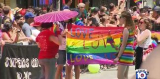 Political theater outweighs legal issues during LGBTQ History Month vote, expert says – WPLG Local 10