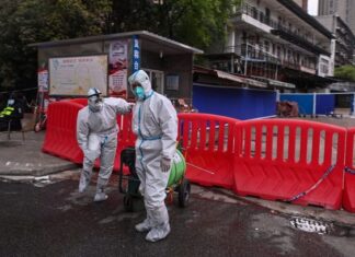 Raccoon dogs at Wuhan wet market more likely to have caused killer Covid pandemic – Scottish Daily Express