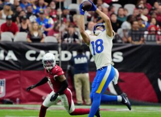 Rams continue dominance of Cardinals with 20-12 victory – Spectrum News 1
