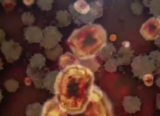 South Carolina, Georgia work to reach those who need monkeypox shots – WIS News 10