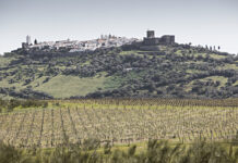 The Country Life, Portuguese Edition. – GAY TIMES – Gay Times Magazine