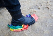 The Wisdom of Gay Albatrosses – Nautilus – Nautilus Magazine