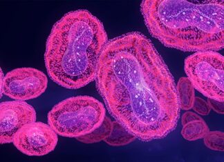 What to know about monkeypox now: Brown University experts weigh in – Brown University