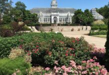 10 can’t miss things to do in Greater Columbus this weekend – The Columbus Dispatch