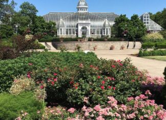 10 can’t miss things to do in Greater Columbus this weekend – The Columbus Dispatch