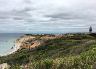 Announcing a new member of the GARFO Marine Mammal Stranding Network | NOAA Fisheries – NOAA Fisheries