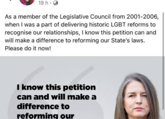 Aussie politician accidentally posts fake gay pride flag – 1News