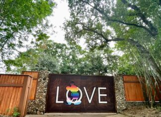 Disney World still drawing crowds after Don’t Say Gay bill battle – The Florida Times-Union