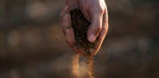 Drought takes toll on country’s largest cotton producer – News10NBC