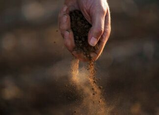 Drought takes toll on country’s largest cotton producer – WNYT NewsChannel 13