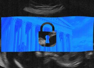 How the Dobbs abortion ruling reshaped America’s privacy debate, from health to politics and law – Grid