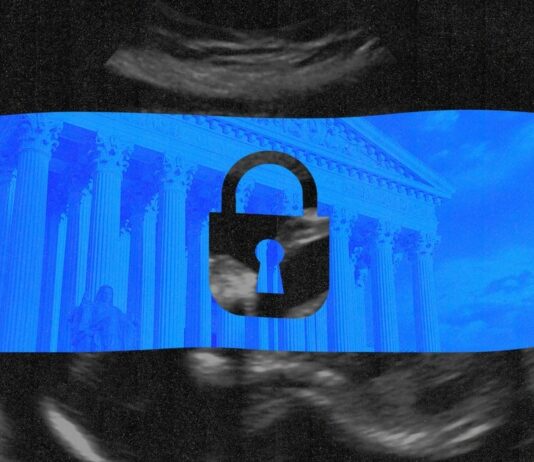 How the Dobbs abortion ruling reshaped America’s privacy debate, from health to politics and law – Grid