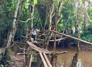How to Find and Publish Stories about Global Disease Outbreaks for an International Audience – The Open Notebook –