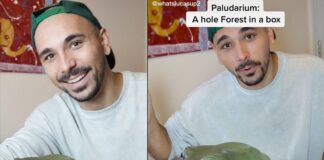 Is the Giant TikTok Frog Real? – PopCrush