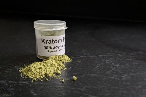 Michigan may regulate sale of kratom, an herbal mix linked to overdoses - Bridge Michigan