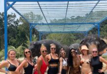 Real Housewives Ultimate Girls Trip Season 3 Clip Shown at BravoCon – PEOPLE