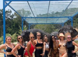 Real Housewives Ultimate Girls Trip Season 3 Clip Shown at BravoCon – PEOPLE