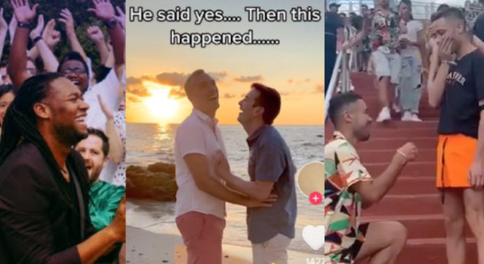 The 5 weirdest and wildest gay wedding proposals - Queerty
