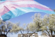 The history of hormone therapy that no one is talking about – The Dallas Morning News