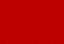 The Jalisco government is hiding the number of monkeypox cases in Puerto Vallarta – Puerto Vallarta Daily News