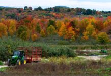 Things to Do in DC Oct. 17-23: Festivals, Food, and Fashion – Washingtonian