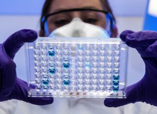 CDC layoffs strike deeply at its ability to respond to the current flu, norovirus and measles outbreaks and other public health emergencies – The Conversation CDC layoffs strike deeply at its ability to respond to the current flu, norovirus and measles outbreaks and other public health emergencies - The Conversation