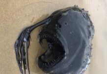 "Kiss Me More" Limp Wrist Gay Meme Goes TikTok Viral - BuzzFeed News